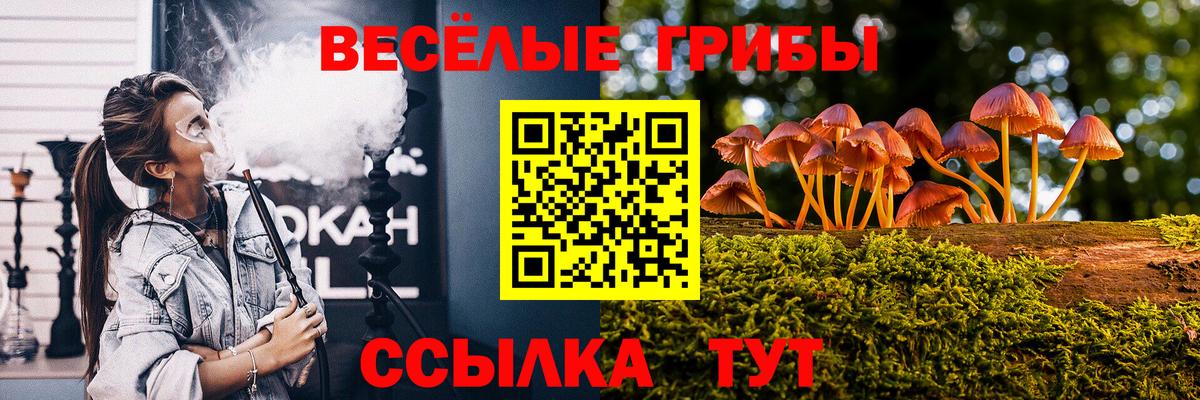 Анжеро-Судженск  Псилоцибиновые грибы GOLDEN TEACHER  Вход с VPN 