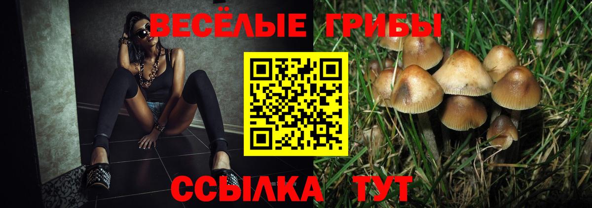 Псилоцибиновые грибы GOLDEN TEACHER  цена наркотик  Анжеро-Судженск 